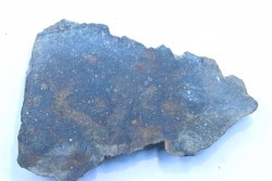 METEORITE slice  Ordinary chondrite NWA