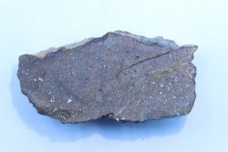 METEORITE slice  Ordinary chondrite NWA