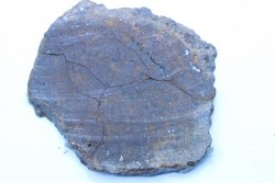 Météorite sciée: CHONDRITE Ordinaire NWA