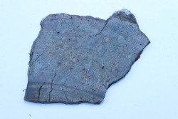 METEORITE slice  Ordinary chondrite NWA
