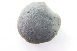 Tectite: AUSTRALITE - Australie
