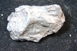 METEORITE SIDERITE SIKHOTE ALIN