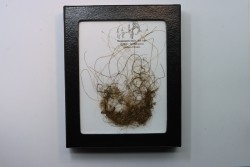 MAMMOTH HAIR from Siberia