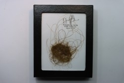 MAMMOTH HAIR from Siberia