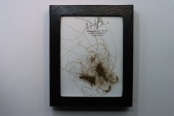 MAMMOTH HAIR from Siberia