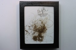 MAMMOTH HAIR from Siberia