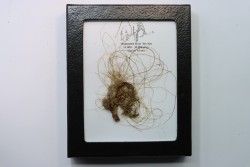 MAMMOTH HAIR from Siberia