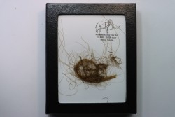 MAMMOTH HAIR from Siberia