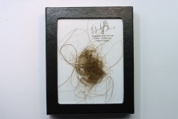 MAMMOTH HAIR from Siberia