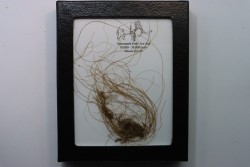 MAMMOTH HAIR from Siberia