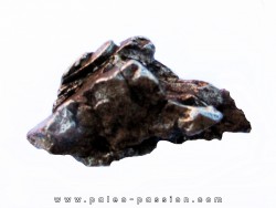 METEORITE  Campo del Cielo (CDC4)