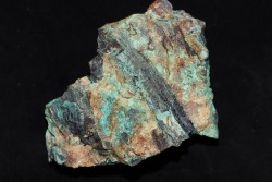 fossil wood with malachite - triassic - chinle formation - Neuw Mexico – USA