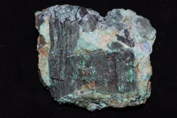 fossil wood with malachite - triassic - chinle formation - Neuw Mexico – USA