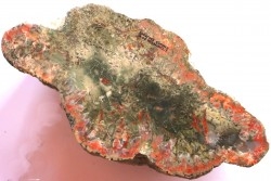 dinosaur coprolithe - jurassic - Morrison Formation