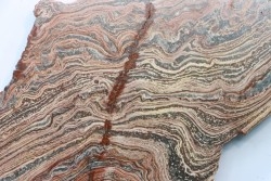 STROMATOLITE - Paléozoïc - Mexico