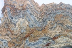 STROMATOLITE - Paléozoïc - Mexico