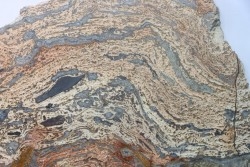 STROMATOLITE - Paléozoïc - Mexico