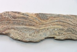 STROMATOLITE - Paléozoïc - Mexico