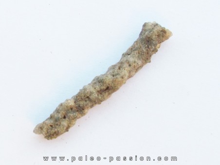 FULGURITE (1)