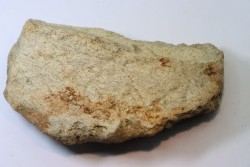 dinosaure freak: TRICERATOPS HORRIDUS