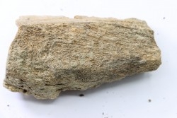 dinosaure freak: TRICERATOPS HORRIDUS