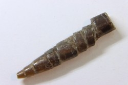 fossile de bélemnite du jurassique "déformé" durant l' EVENEMENT DU  RIES (14.5 M.A.)