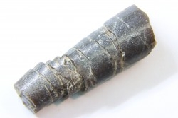 fossile de bélemnite du jurassique "déformé" durant l' EVENEMENT DU  RIES (14.5 M.A.)