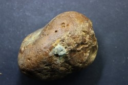 CRETACEOUS AMBER FROM ARCHINGEAY - FRANCE