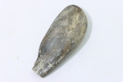 bélemnite: Duvalia émérici - Valanginien supérieur - Alpes de haute Provence - France