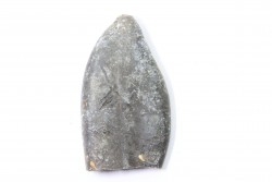 bélemnite: Duvalia émérici - upper Valanginian - Alpes de haute Provence - France