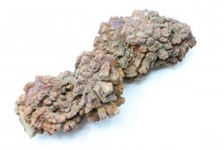 COPROLITHE DE REPTILE - cénozoïque - région de Betsiboka, province de Majunga - Madagascar