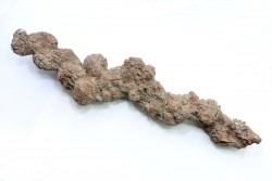 COPROLITHE DE REPTILE - cénozoïque - région de Betsiboka, province de Majunga - Madagascar