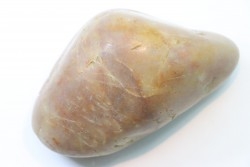 Gastrolith of  Dinosaur - Lower Cretaceous - Cloverly formation - Montana -USA