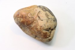 Gastrolith of  Dinosaur - Lower Cretaceous - Cloverly formation - Montana -USA