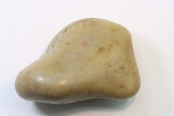 Gastrolith of  Dinosaur - Lower Cretaceous - Cloverly formation - Montana -USA