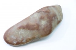 Gastrolith of  Dinosaur - Lower Cretaceous - Cloverly formation - Montana -USA