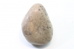 Gastrolithe de dinosaure - Crétacé inférieur - Cloverly formation - Montana - USA