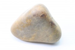 Gastrolith of  Dinosaur - Lower Cretaceous - Cloverly formation - Montana -USA