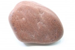 Gastrolith of  Dinosaur - Lower Cretaceous - Cloverly formation - Montana -USA