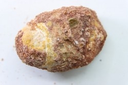 coprolithe - crétacé - kem-kem - MAROC