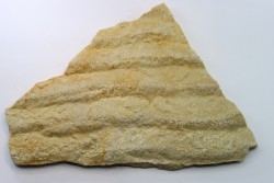 Matière Microbienne - cambrien - (Possible précambrien?) - Mt Simon Sandstone - Central Wisconsin - USA