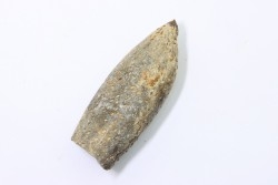 bélemnite: Duvalia lata (Blainville,1827) (crustaceans acrothoracic traces) upper Valanginian - Alpes de hte Prov. - France