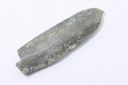 bélemnite: Duvalia dilatata - upper Valanginian - Alpes de haute Provence - France