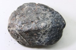 Ankylosaur scute - Hell Creek  Formation - Dawson Conty, Montana, USA