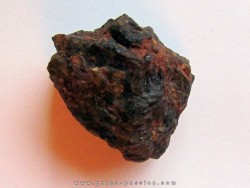 METEORITE ACHONDRITE DIOGENITE NWA 7831