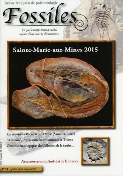 revue FOSSILES n°23 - juillet aout septembre 2015