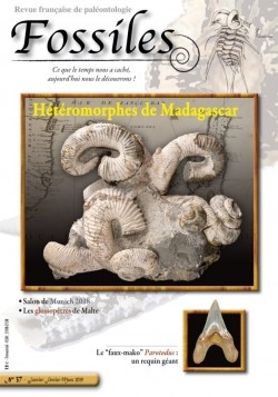 revue FOSSILES n°37 - janvier février mars 2019