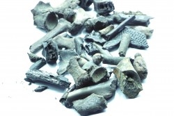 set of crocodiles bones from "amber level" - éocène - Compiegne - FRANCE