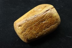 CRETACEOUS AMBER FROM ARCHINGEAY - FRANCE