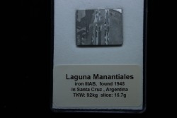 Météorite:  SIDERITE iron IIIAB - LAGUNA MANANTIALES